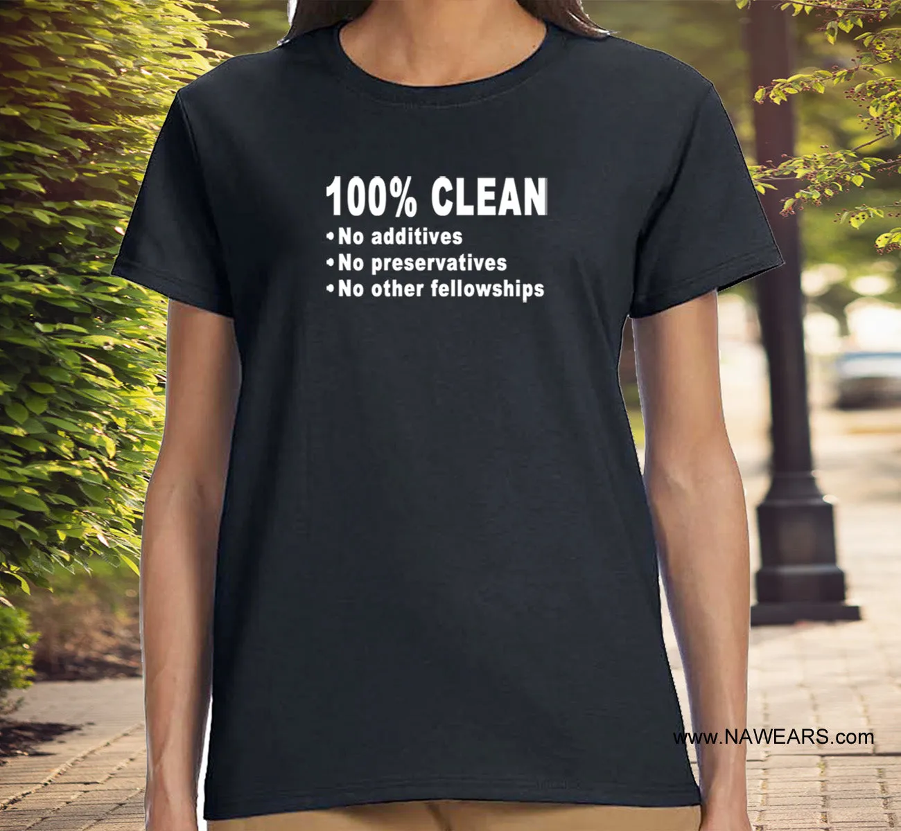 ldTs- 100% Clean - Ladies T's